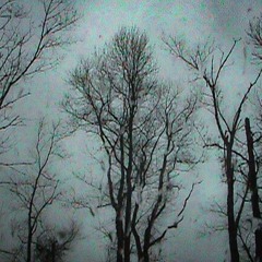 jay & burgess - rip screw remix (VIDEO IN DESC)