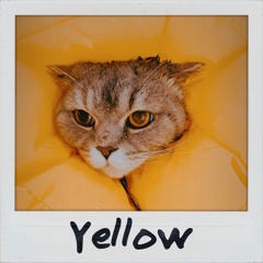 yoh Kamiyama - Yellow Cover