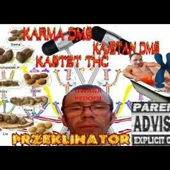 Karma DMS Ft Kajetan DMS Kastet THC - PRZEKLINATOR