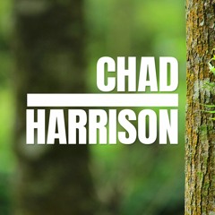 Chad Harrison - I Was Just Waiting For You And Me (Tech House)