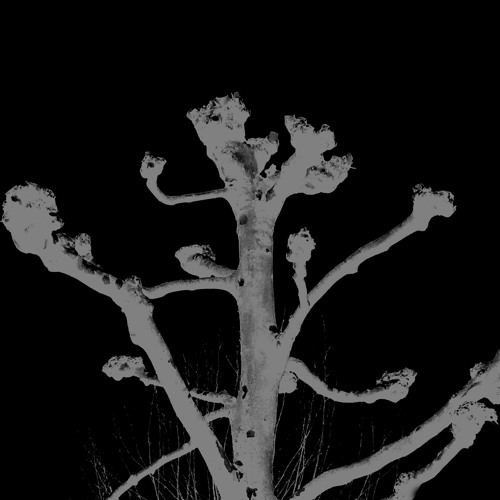 The Devastations Of Epiphany