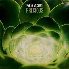 3)A Natureza, Nossa Princesa mp3