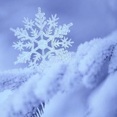 Fairy King [Prod. Dandere]