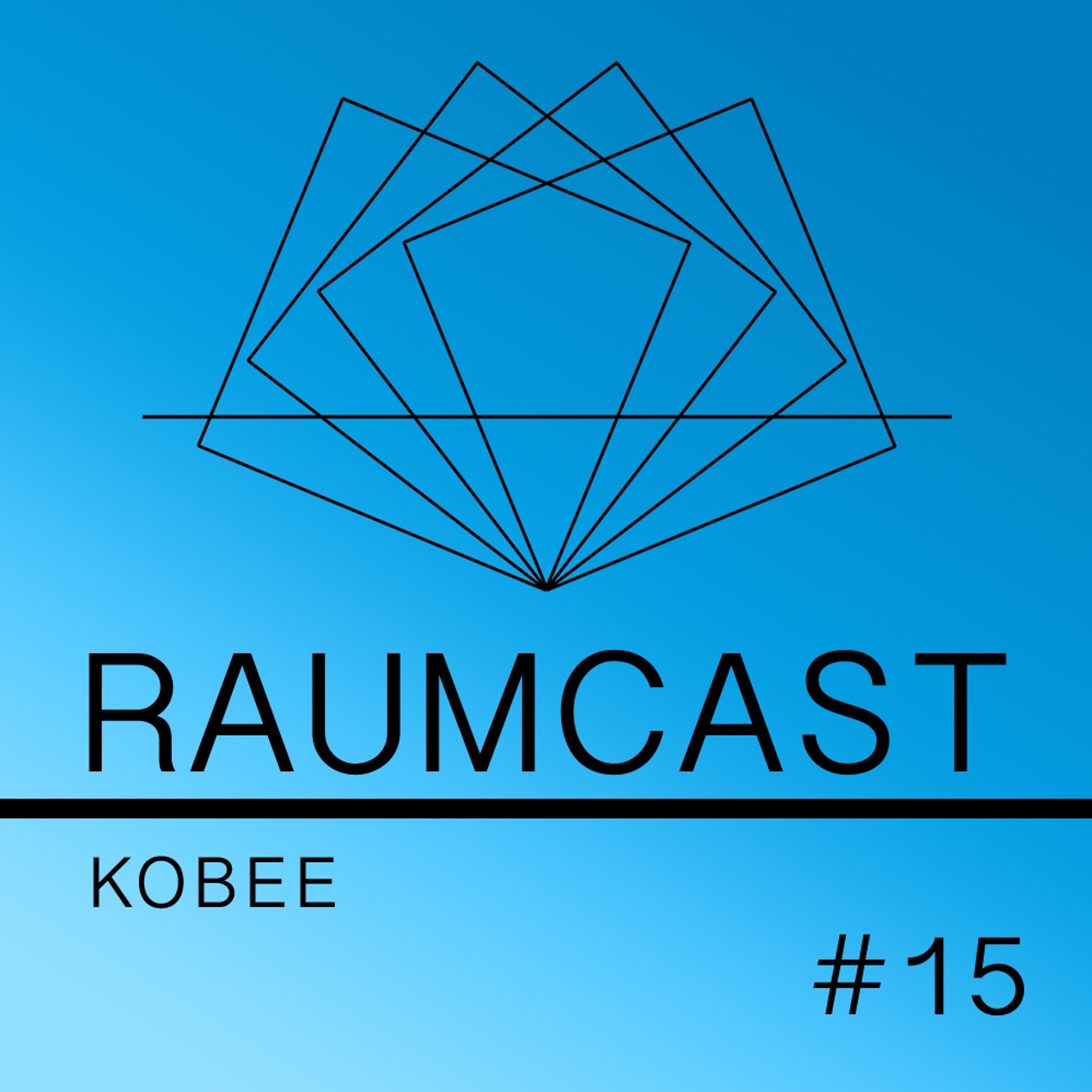 RAUMCAST