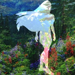 Colors of the Wind