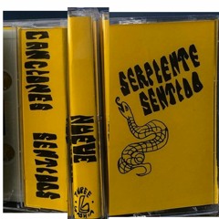 Serpiente Sentido (w/reverb)