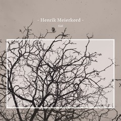 Henrik Meierkord - Själ (Album Mini-Mix)
