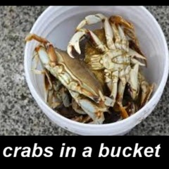 CRABS IN THE BUCKET (Kp Malone Feat LoKey) BNE CLICK