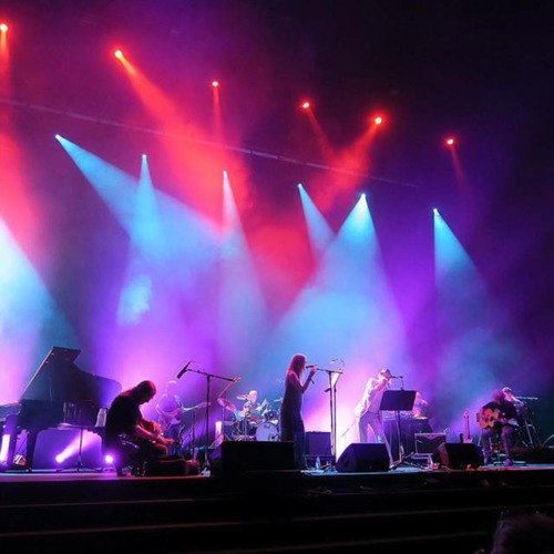 Swam In The Moon (downloadable)