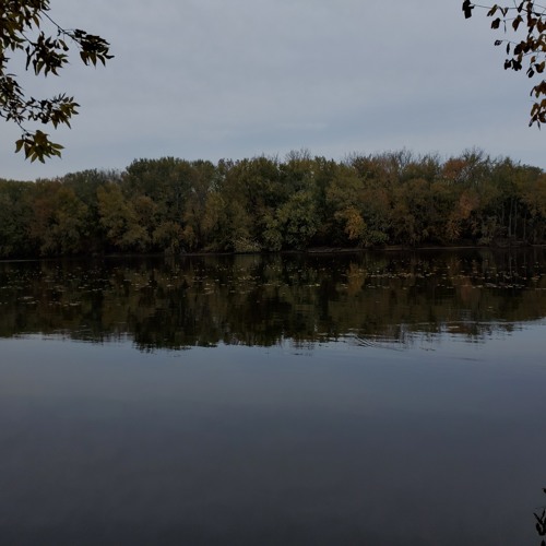 idwbya, wtpo- devil clefs