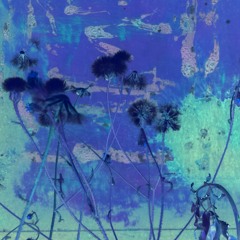 Radio/Ratio, Plovdiv, Bulgarian Sketches