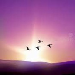 08 - A New World: Flight (Vol. 2)