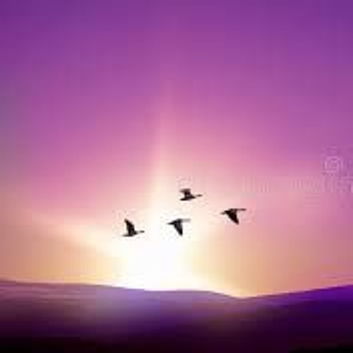 08 - A New World: Flight (Vol. 2)