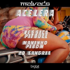 DJ Malvado feat. Jessica Pitbull, Mininho Pibom & Ed Sangria - Acelera ( Afro House )