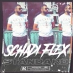 SchadiFlex - Standard [Officiell]