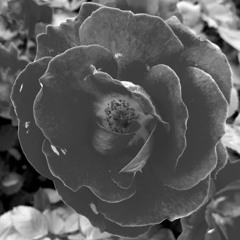 Alone (Prod. UrbanNerdBeats)