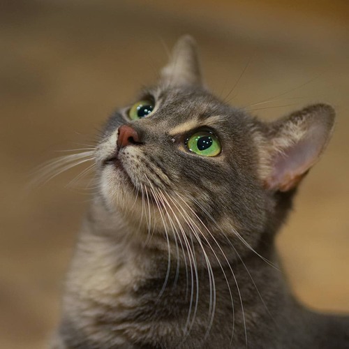 Electronic Computer Startup Noise