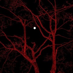FRACTAŁ - MOONFLOWER
