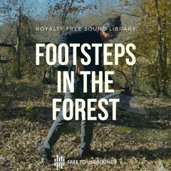 Royalty Free Footsteps In The Forest Sound Effects