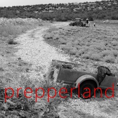 Prepperland