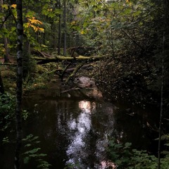 TINTED ARCAEOACOUSTICS