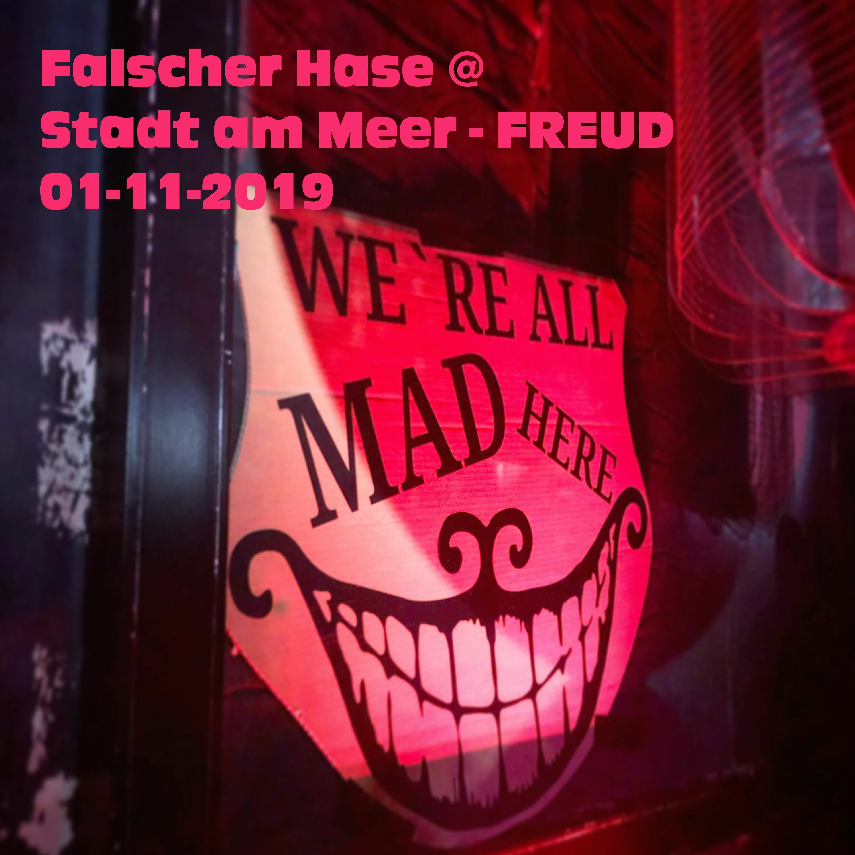 Falscher Hase – Mixe, Podcasts & Livemitschnitte