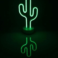 Nuit verte-slm