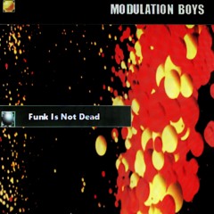 『Funk Is Not Dead 』 MODULATION BOYS
