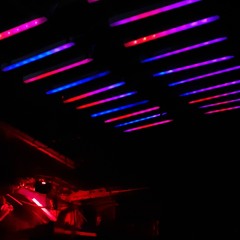 Michael Ellis @ Grenzen wegdancen / KTS 11/2019