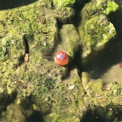 sitting around not doing shit