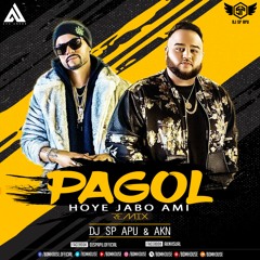 PAGOL HOYA JABO (REMIX) - DJ SP APU & AKN