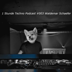 1 Stunde Techno Podcast #003 Waldemar Schaefer