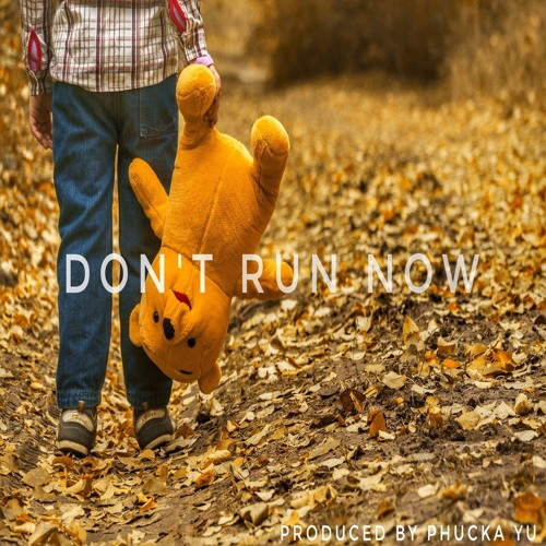 Don't Run Now (Instrumental) produced by Phucka Yu