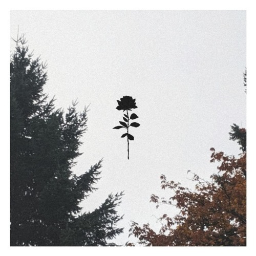 Lovesick Feat Saywecanfly By Days To Waste