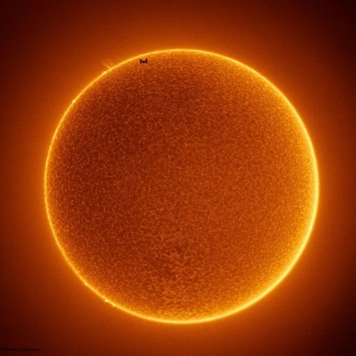 Completely Sun - Pilooski feat. Jarvis Cocker & NU