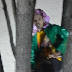 NASCAR ALOE - ANNUNAKI