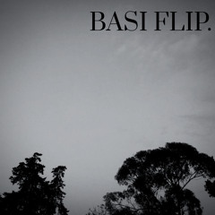 Basi flip.