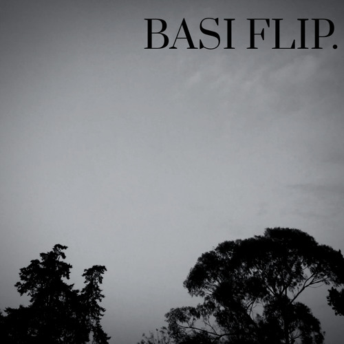 Basi flip.