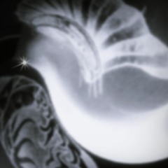 Cruzarte (con Martín Benitez y Guille Yenaropolus)