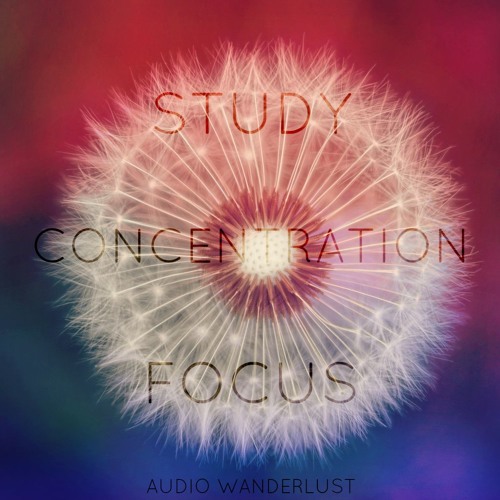 Study I Concentration I Focus