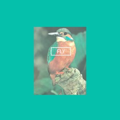 Fly
