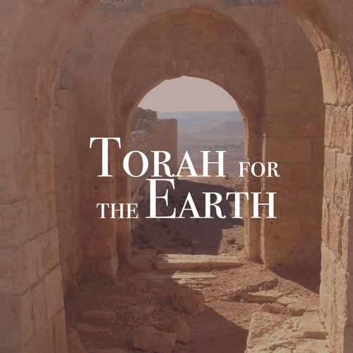 AE: Torah for the Earth