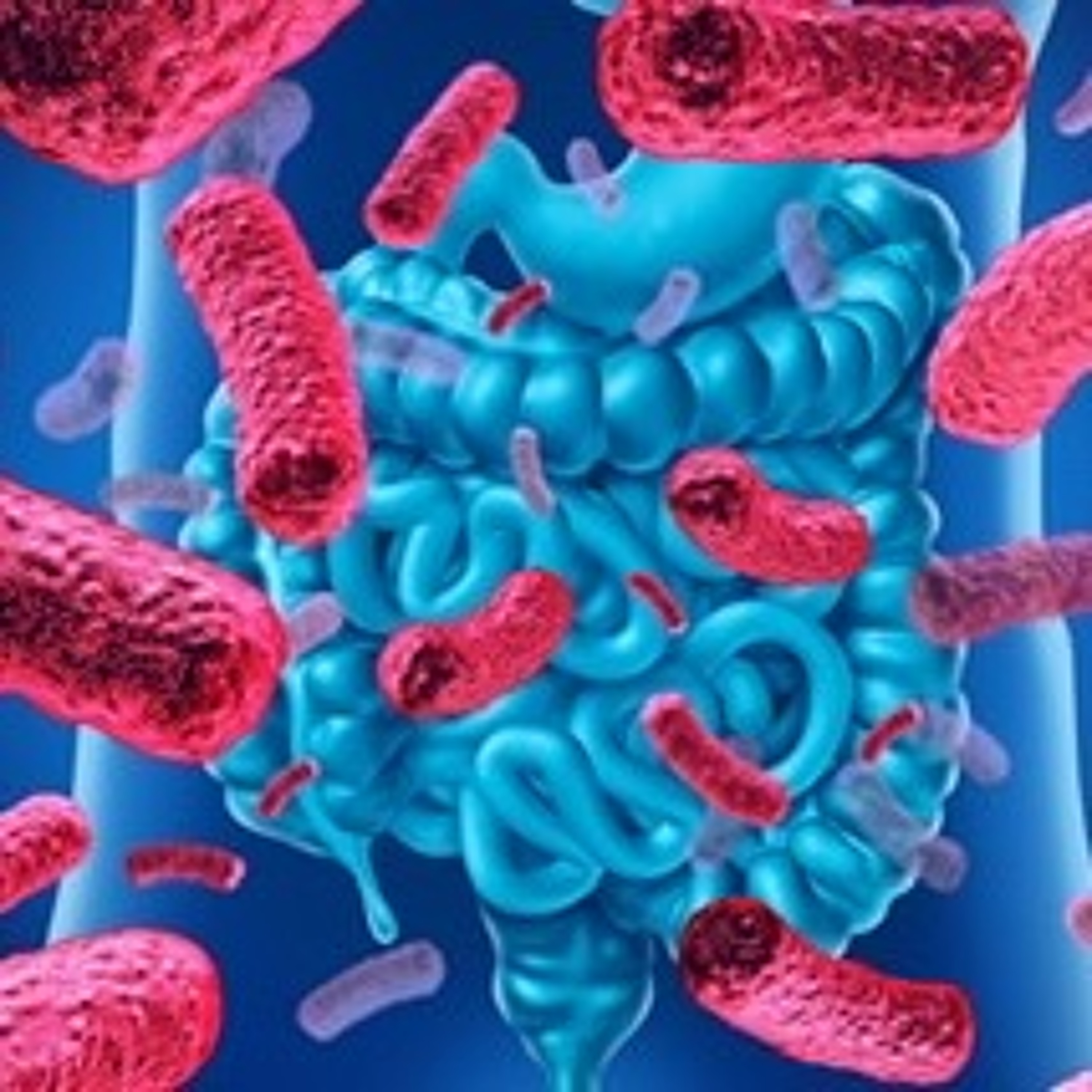 Gut bacteria.Probiotics, prebiotics. The facts with naturopath Karen Ansell.