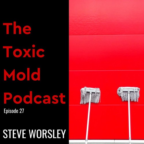 EP 27: Conflict of Interest Between Restoration and Mold Mitigation Companies