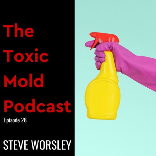 EP 28: Why bleach won't solve your mold problems