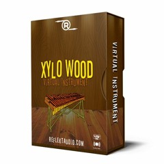 Xylo Wood VST Beat By Daniel Price