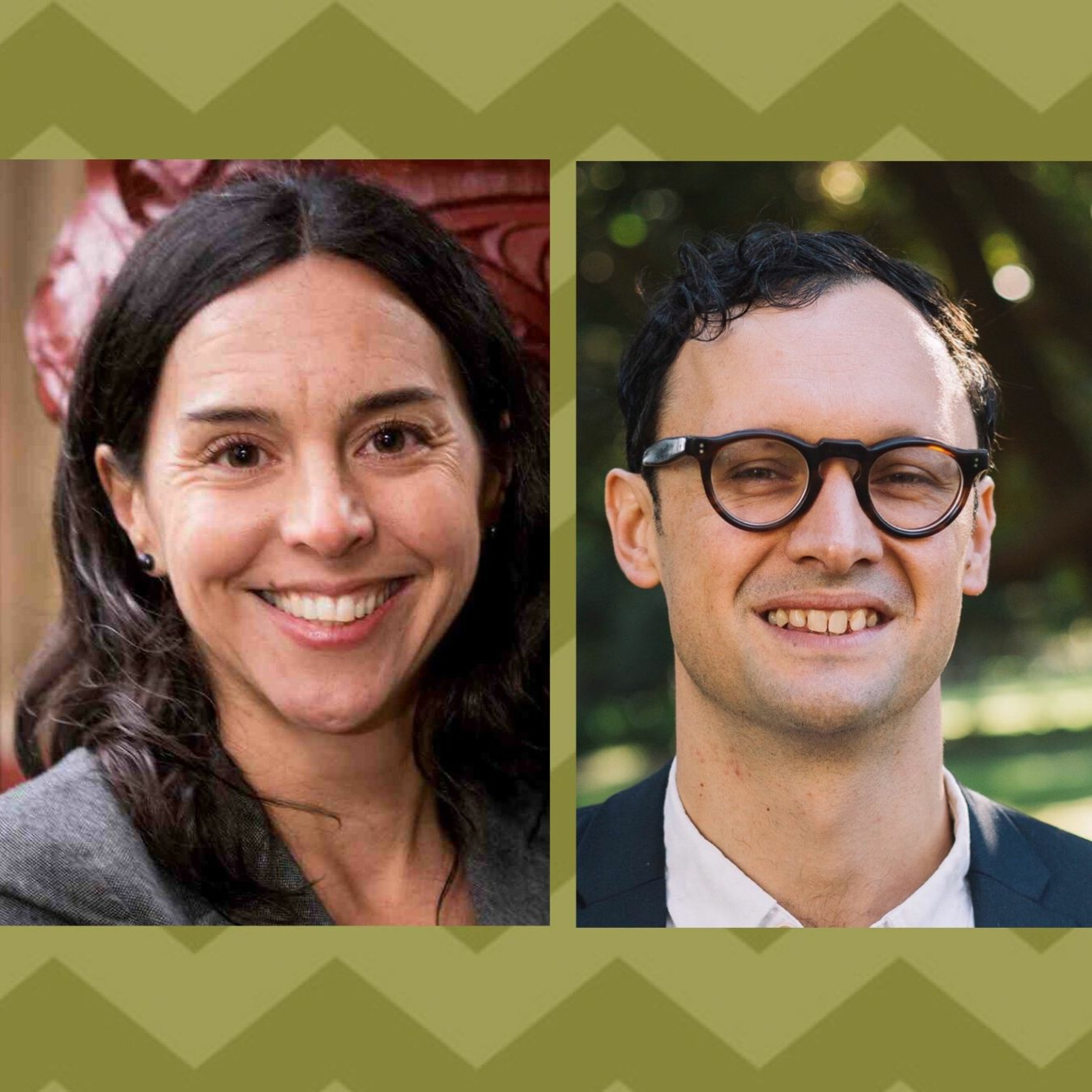 Maria Bargh and David Hall on the low-emissions transition