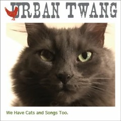 Sunset In The Jémez