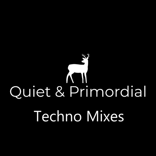 80 TECHNO MIXES