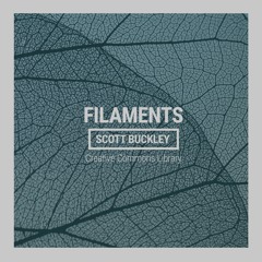 Filaments (CC-BY)